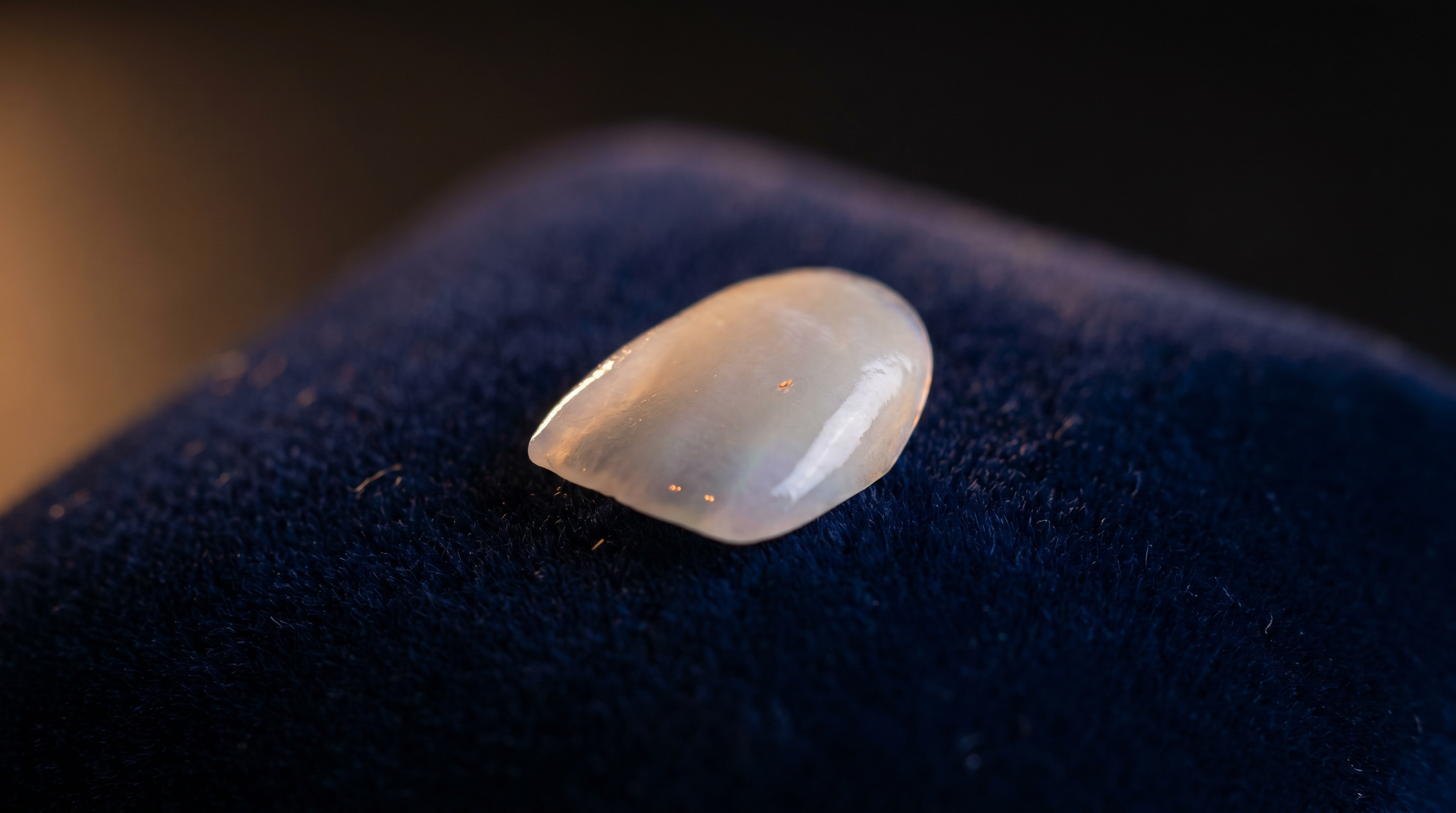 Macro view of a translucent ceramic veneer